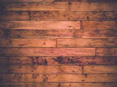 Laravel Build a REST API with Laravel 12 and Sanctum Authentication