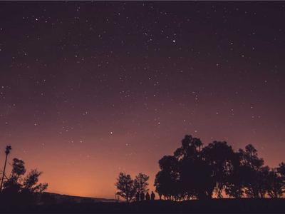 AngularJS Laravel 11 Blueprint Package: A Step-by-Step Tutorial