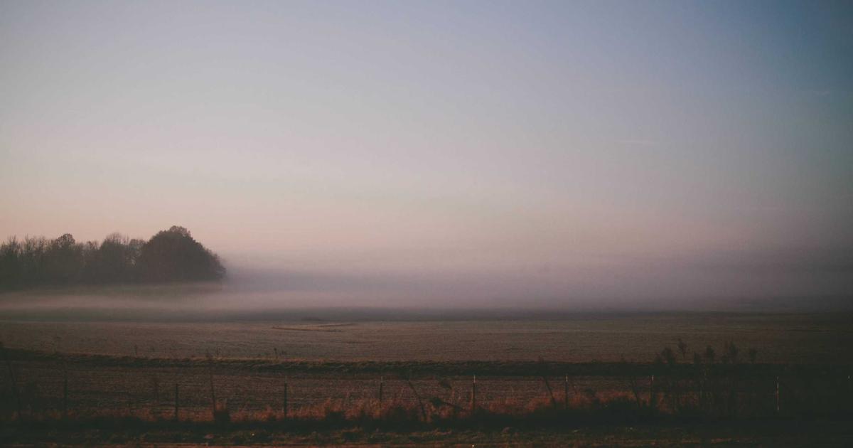 What is the difference between Session and Cache in Laravel?