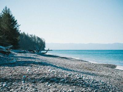 Build a REST API with Laravel Sanctum and Role-Based Access