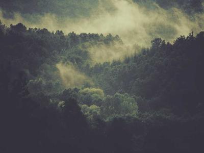 Build an Expense Tracker with Vue 3 and Pinia